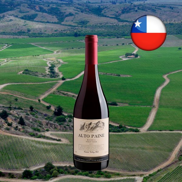 Alto Paine Reserva Pinot Noir 2017 - Oferta