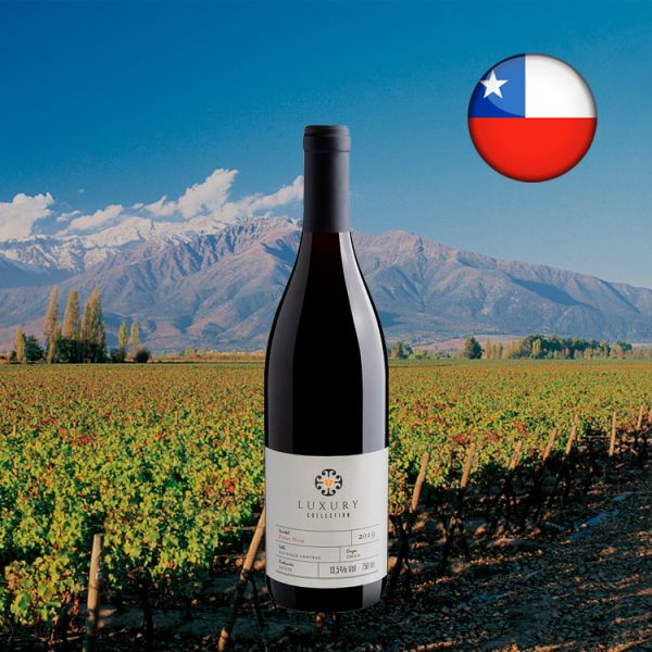 Luxury Collection Pinot Noir Valle Central D.O. 2019 - Oferta
