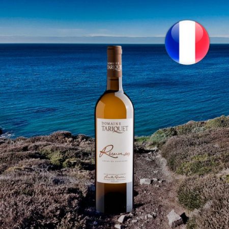 Domaine Tariquet Réserve Côtes de Gascogne IGP 2019 Vinho branco