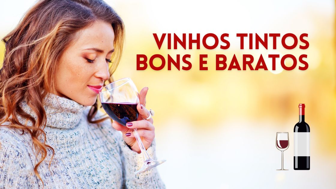 Top 10 Vinhos Tintos Bons E Baratos Para Saborear Sem Gastar Uma