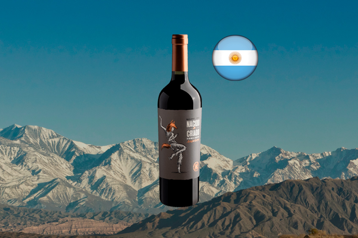 Nacido Y Criado En Mendoza Malbec Reserve 2021 Vinho Tinto Argentino