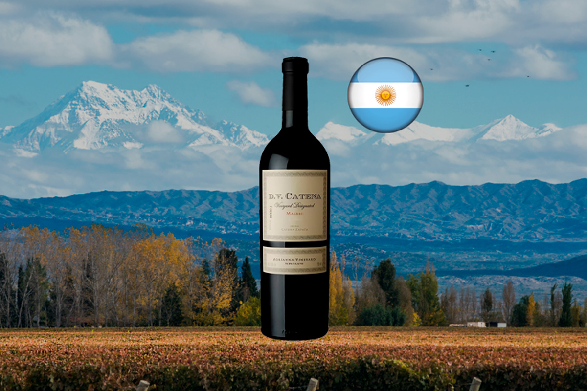 Dv Catena Adrianna Vineyard Malbec 2018 Vinho Tinto Argentino