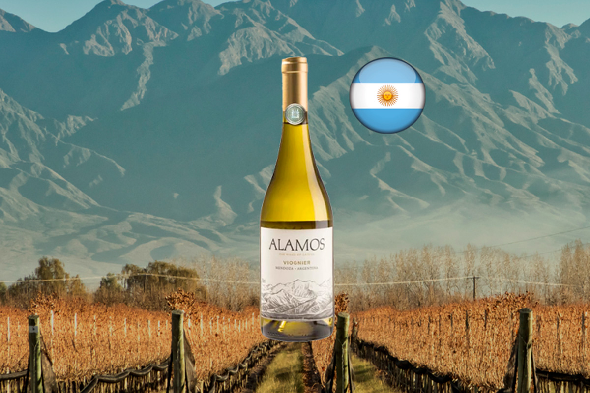 Alamos Viognier 2022 Vinho Branco Argentino Center Gourmet Vinhos E