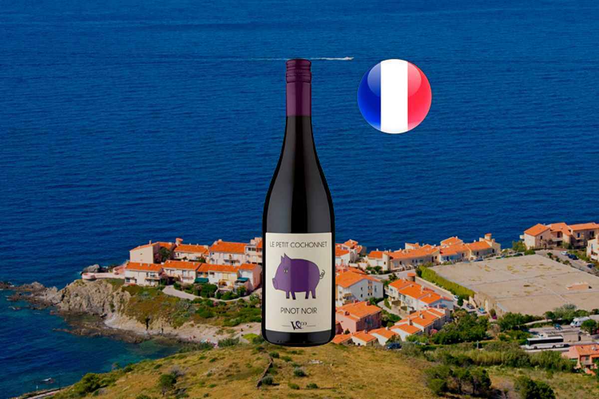 Le Petit Cochonnet Igp Pays Doc Pinot Noir Vinho Tinto Franc S