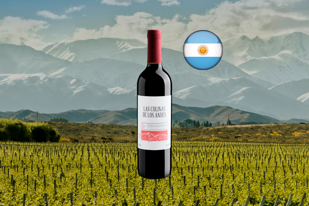 Las Colinas De Los Andes Red Blend Vinho Tinto Argentino Center