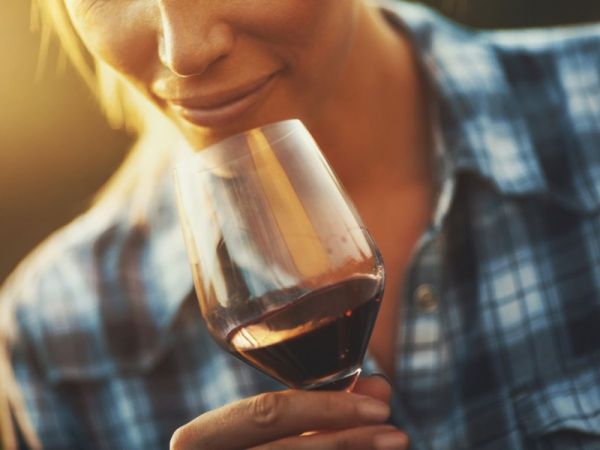 Temperatura do vinho: Como ela impacta no sabor?