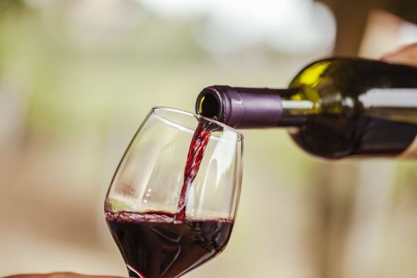 Conheça os vinhos nacionais produzidos na serra gaúcha
