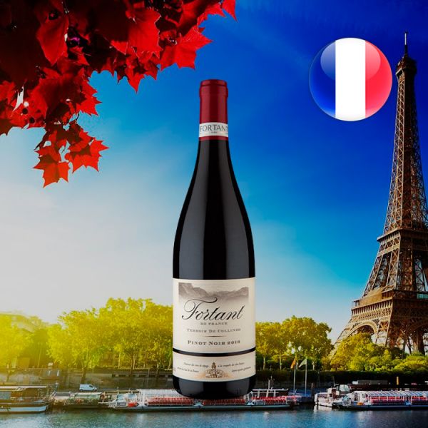 Fortant de France Terroir de Collines Pinot Noir 2016 Oferta