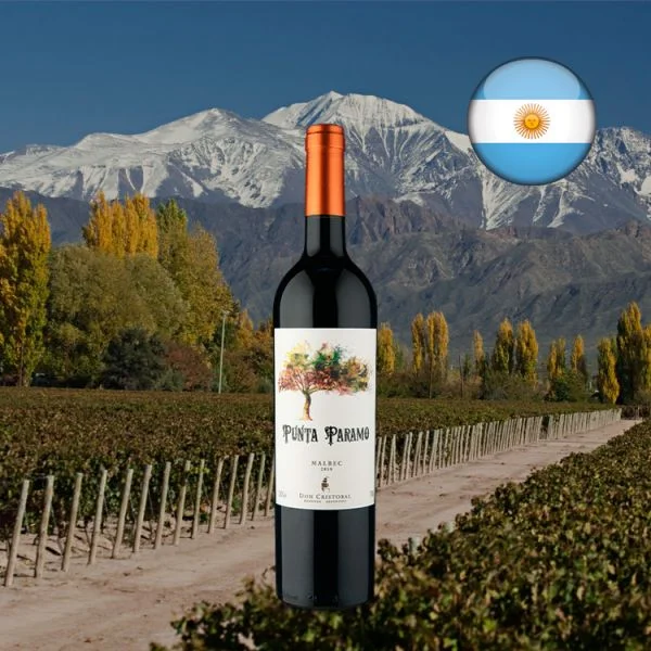 Punta Paramo Malbec 2018