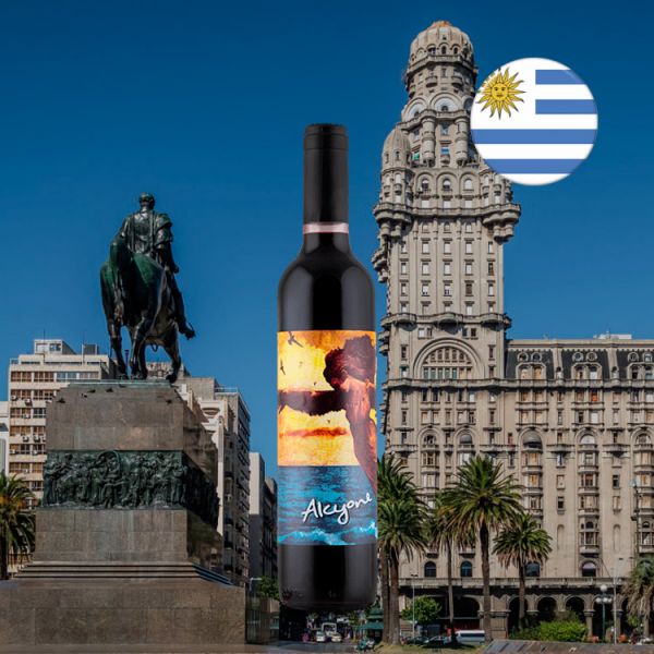 Viñedo De Los Vientos Alcyone Tannat Dessert Wine 500 ml Oferta