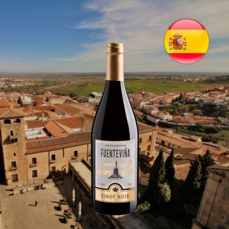 Fuenteviña Pinot Noir - Oferta