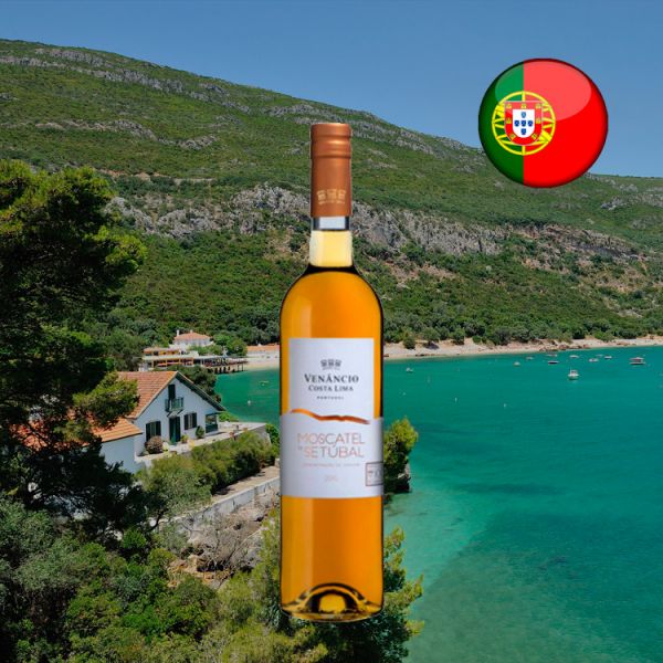 Vinho Moscatel de Setúbal Venâncio da Costa Lima 2015 Oferta