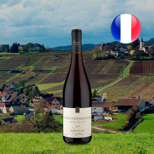 Ropiteau Frères A.O.C. Coteaux Bourguignons 2016 - Oferta