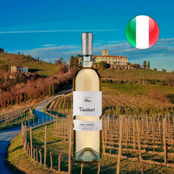 Fantinel Borgo Tesis Pinot Grigio Doc Friuli 2018 - Oferta