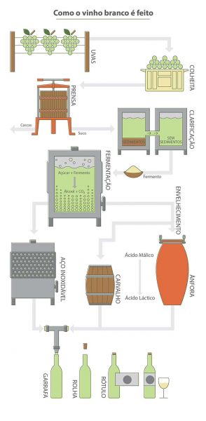 Vinho branco - da colheita ao preparo, detalhes que você vai adorar - Infográfico