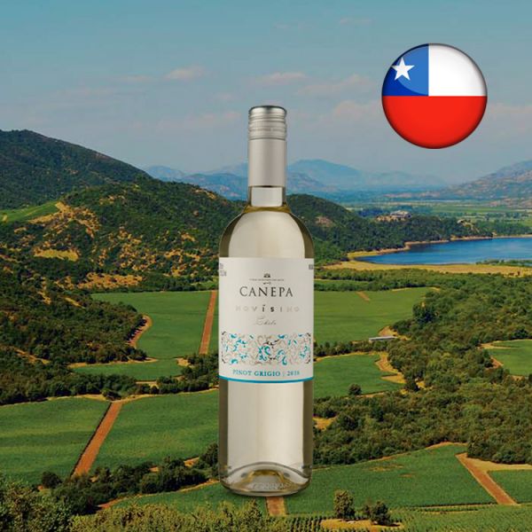 Canepa Novísimo Pinot Grigio 2018 - Oferta