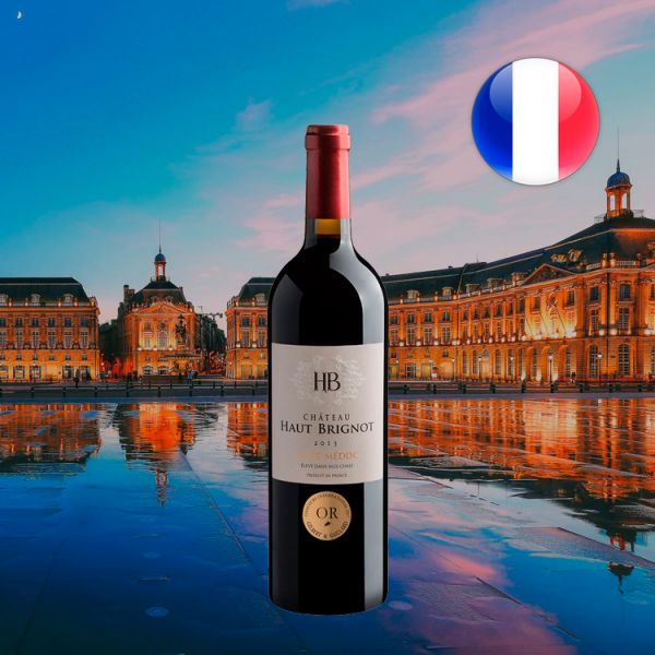 Château Haut Brignot Haut-Médoc AOC 2013 - Oferta