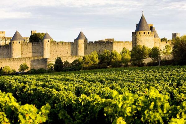 Vinho francês - histórias, regiões, sabores, rótulos e denominações - Vinhedo em Languedoc