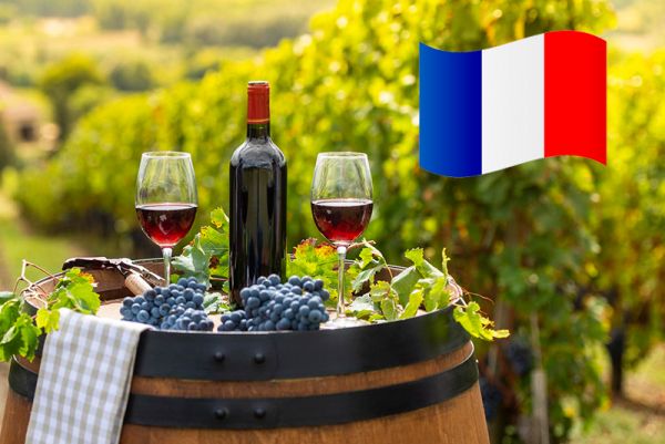 Vinhos da França - histórias, regiões, sabores, rótulos e denominações