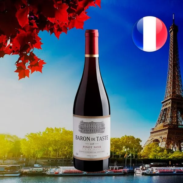 Baron de Taste Pinot Noir 2018 - Oferta