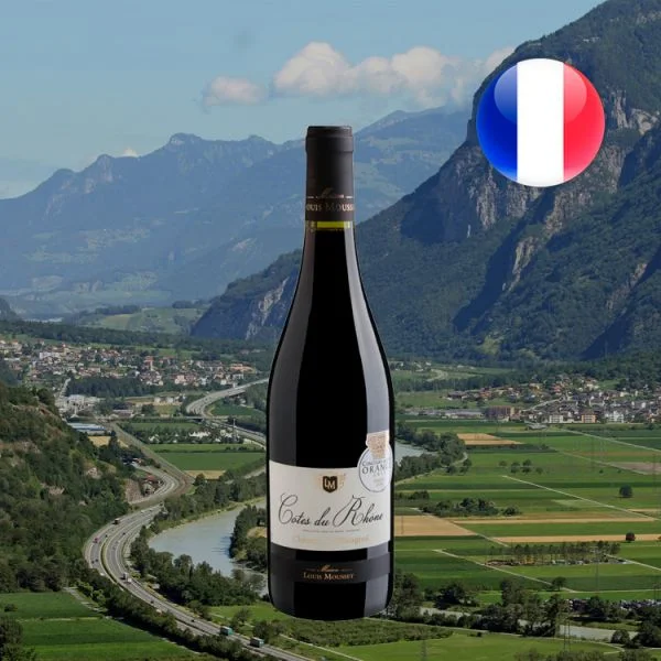 Château de l'Estagnol Côtes du Rhône AOC 2012 - Oferta