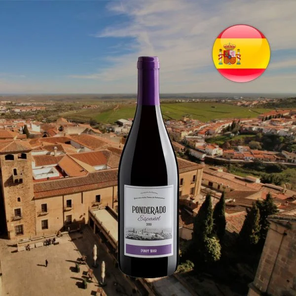 Ponderado Pinot Noir 2018 - Oferta