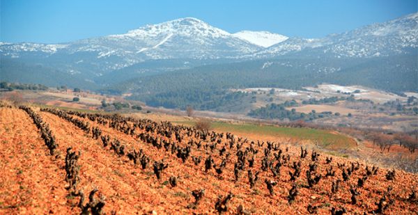 Vinho espanhol - um guia prático - Vinhedos em Calatayud