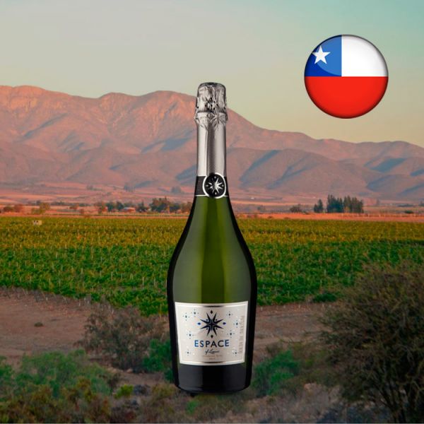 Espumante Espace of Limarí Brut - Oferta