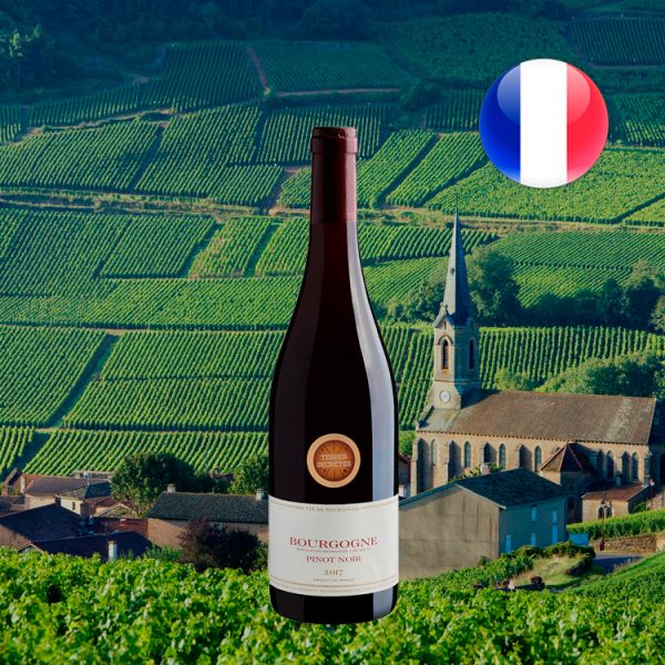 Terres Secretes Pinot Noir Bourgogne AOC 2017 - Oferta