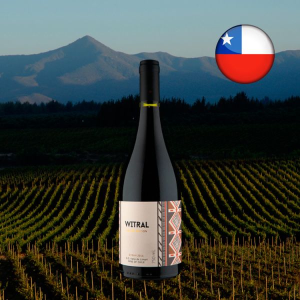 Witral Limited Edition Syrah 2016 - Oferta