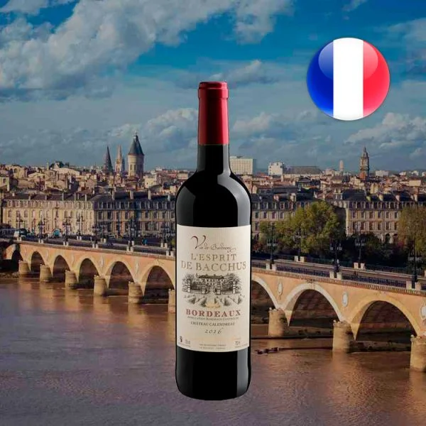 Bordeaux L'Esprit de Bacchus AOC 2016 - Oferta