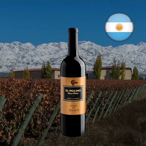 El Molino Malbec 2019 - Oferta