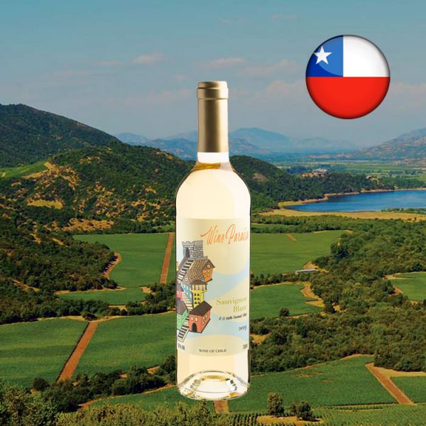 Wine Paraíso Sauvignon Blanc Valle Central D.O. 2019 - Oferta