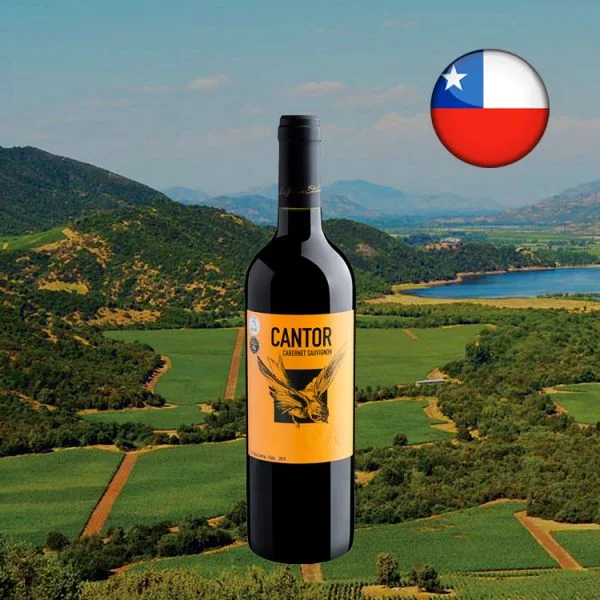 Cantor Cabernet Sauvignon 2019 - Oferta