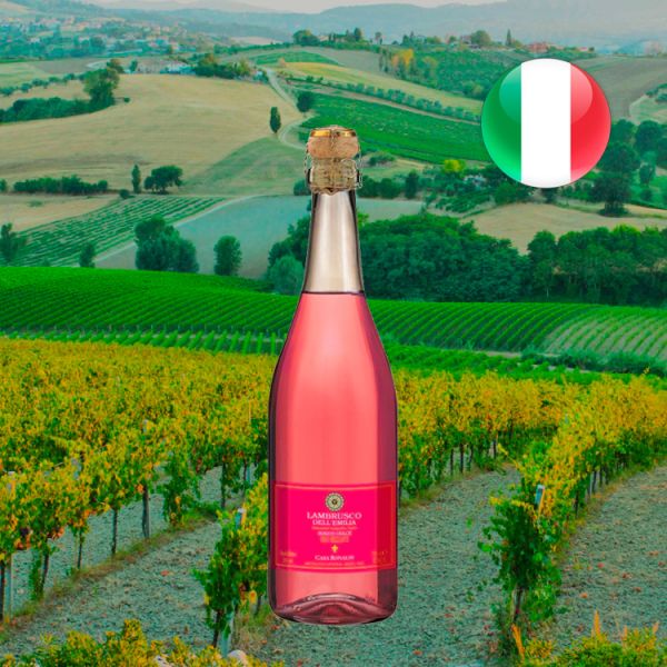 Lambrusco Casa Ronaldi Rosé - Oferta