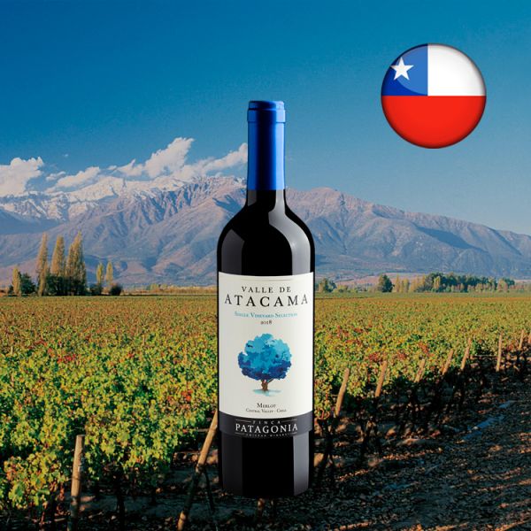 Valle de Atacama Single Vineyard Merlot - Oferta