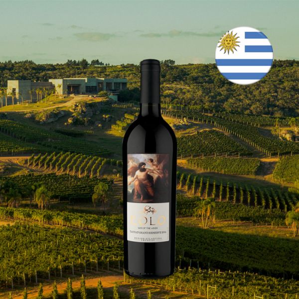 Viñedo de Los Vientos Eolo Gran Reserva 2014 - Oferta