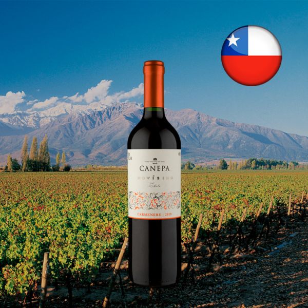 Canepa Novísimo Carménère 2019 - Oferta