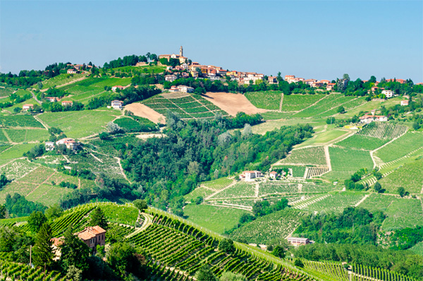 Collina San Ponzio Barolo DOCG 2015 - Terroir