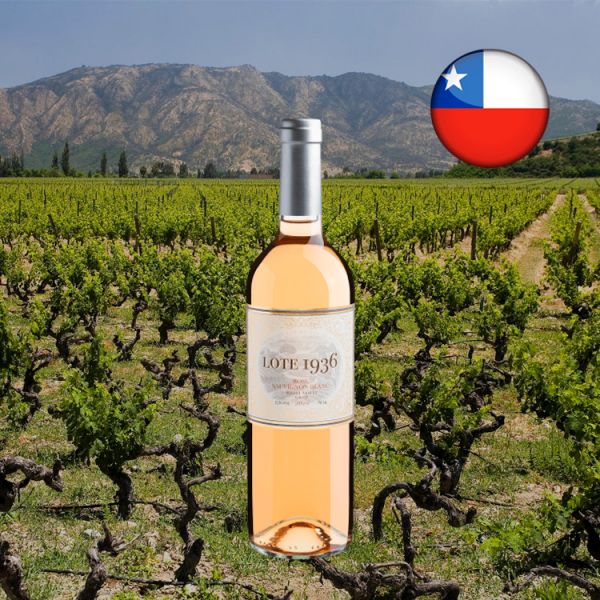 Lote 1936 Sauvignon Blanc Rosé 2019 - Oferta