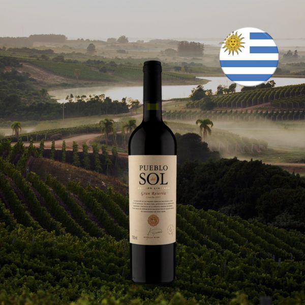 Pueblo del Sol Selección de Barricas Gran Reserva 2015 - Oferta