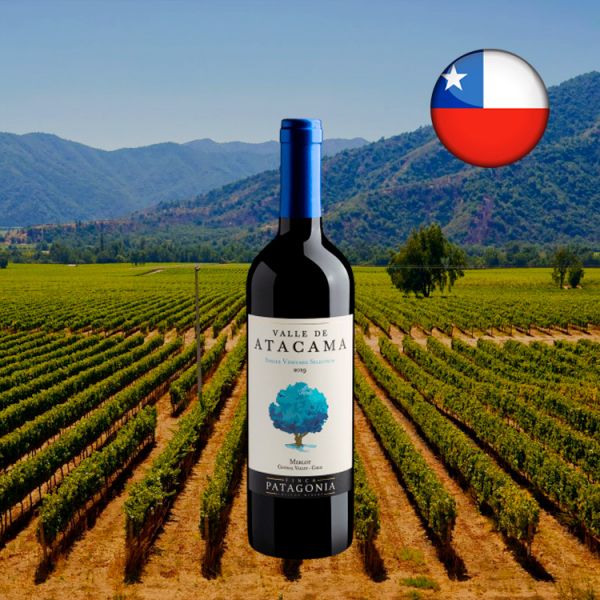 Valle de Atacama Single Vineyard Merlot 2019 - Oferta