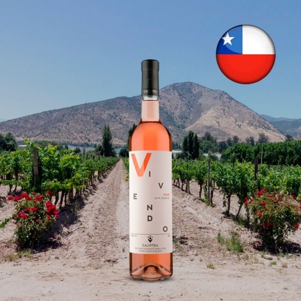 Calyptra Vivendo Reserve Rosé 2018 - Oferta