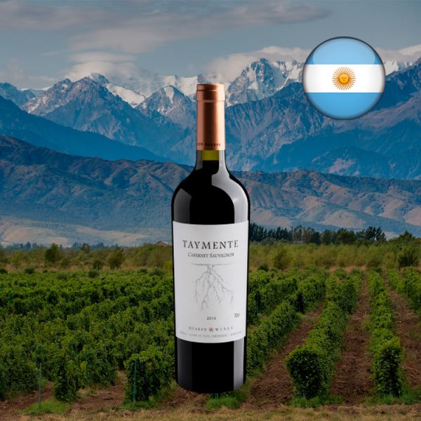 Huarpe Taymente Cabernet Sauvignon 2014 - Oferta