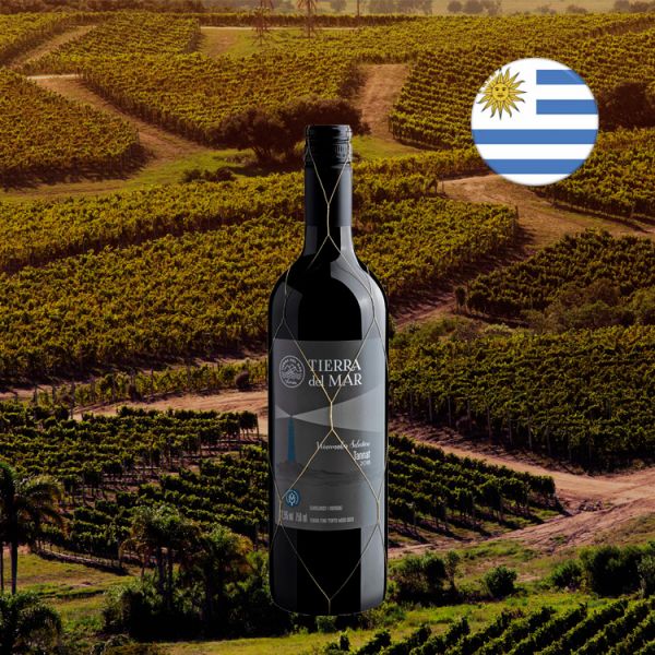 Tierra del Mar Winemaker Selection Tannat 2018 - Oferta