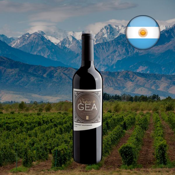 Vástago de Gea Cabernet Sauvignon 2019 - Oferta