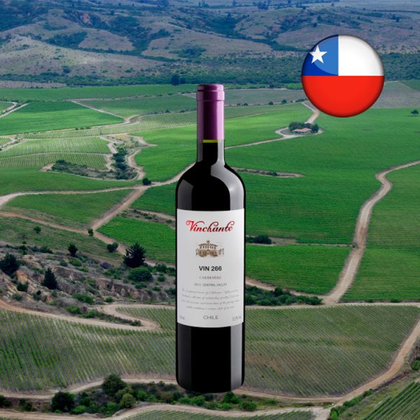 Vinchante Carménère Central Valley 2019 - Oferta