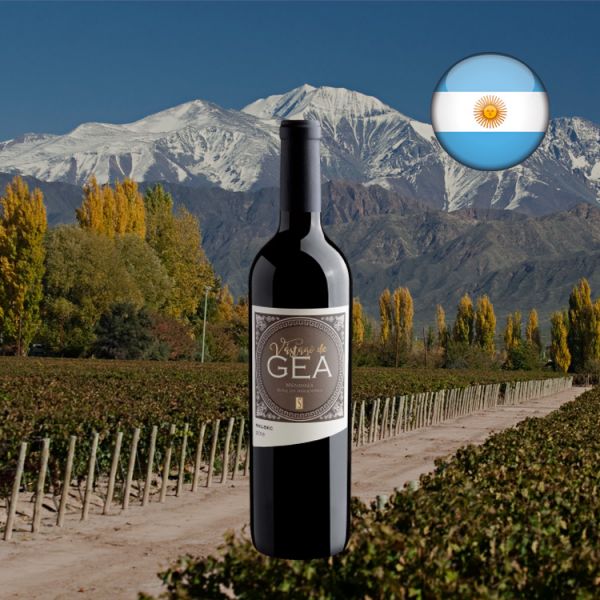 Vástago De Gea Malbec 2019 - Oferta