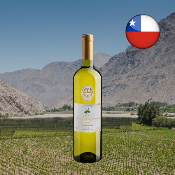 Aves Patagónicas Sauvignon Blanc Central Valley 2019 - Oferta