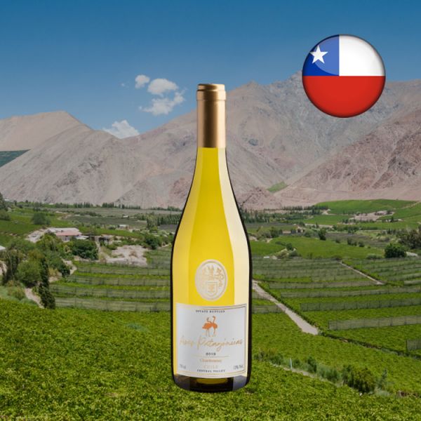 Aves Patagónicas Chardonnay Central Valley 2018 - Oferta